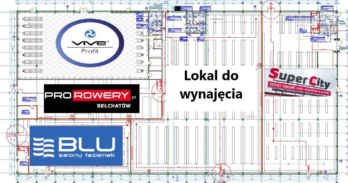 Lokal do wynajęcia Bełchatów