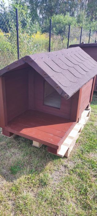 Buda dla psa rasy dużych i małych