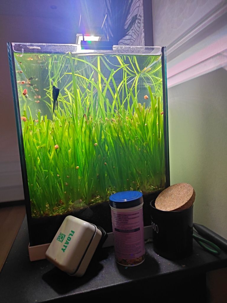 Aquário  com led