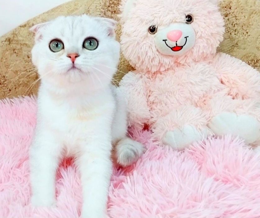 Мальчик милашка с зелёными глазками