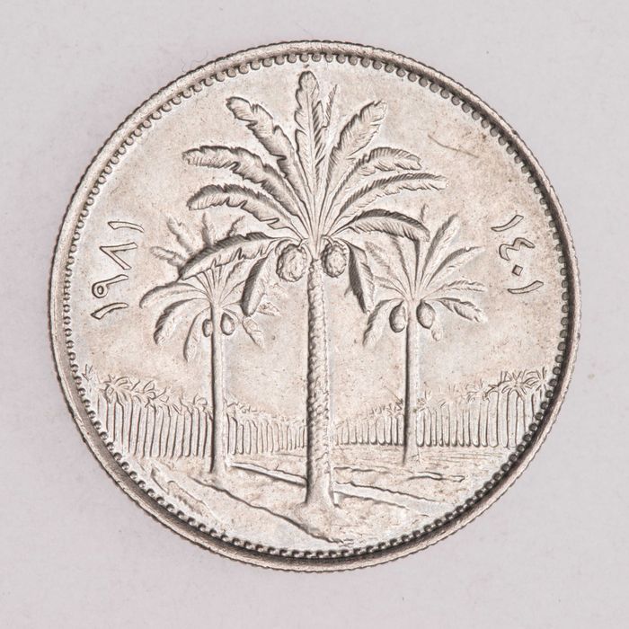 Irak - moneta 25 flisów 1981