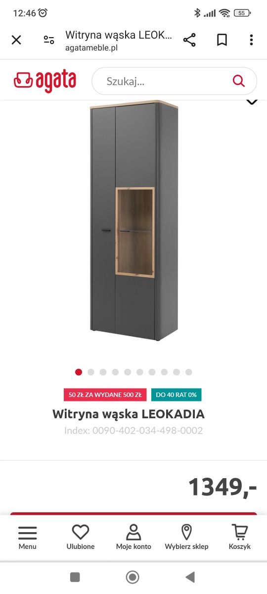 Witryna i półka Leokadia Agata Meble NOWE