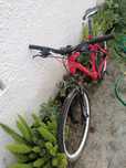 Bicicleta usada comum nova