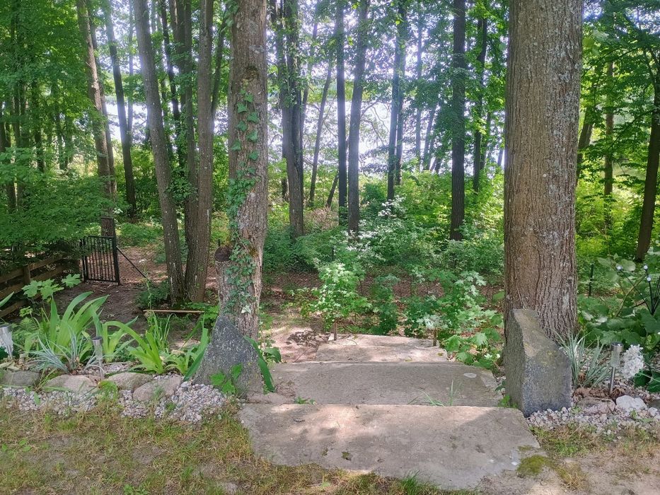 Urocza Działka Mazury z Pierwszą linią brzegową na Półwyspie Jeziora W