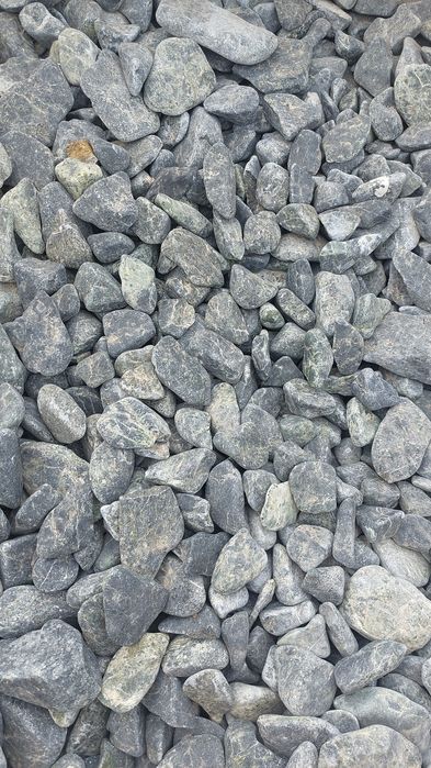 Promocjia dalmatyńczyk kamień granitowy 16-22