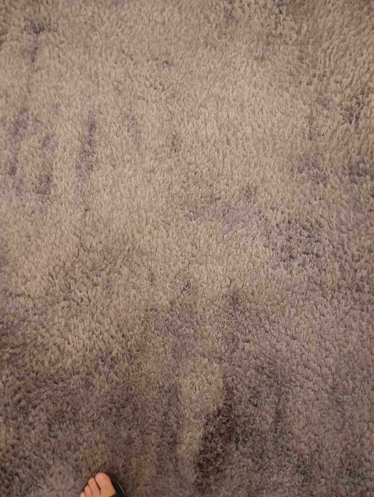 Tapetes Usados em Ótimo Estado - Oportunidade!