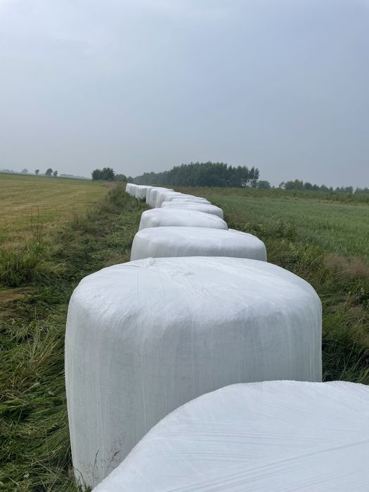 Sianokiszonka z sianych traw   2025