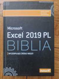 Excel 2019 Biblia Walkenbacha