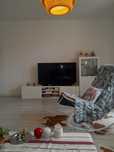 Telewizor LG Oled 55c1 139 cm/55 cali