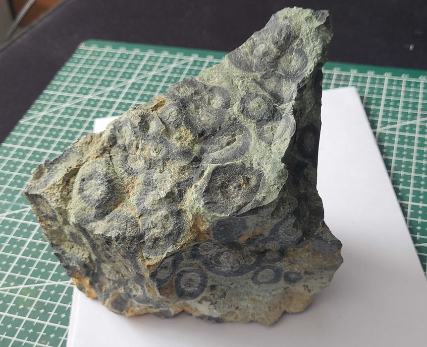 Jaspis kambaba surowy, duży, Madagaskar