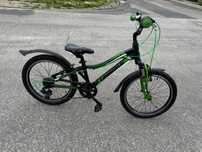 Unibike  Koła 20 cali Pilot Rower