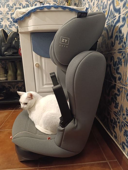 Cadeira de automóvel Zippy