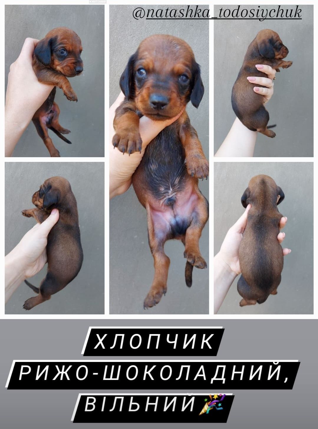 Хлопчик готується до продажу