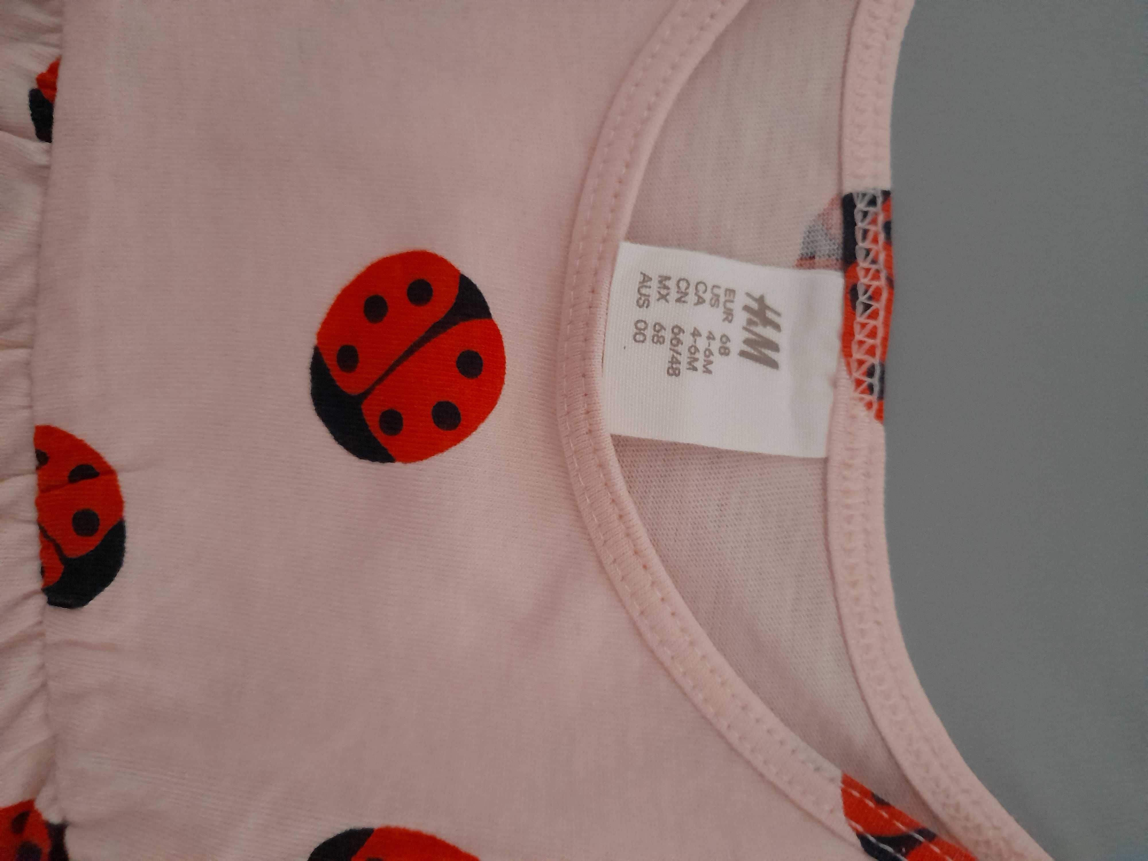 Sukienka niemowlęca H&M
