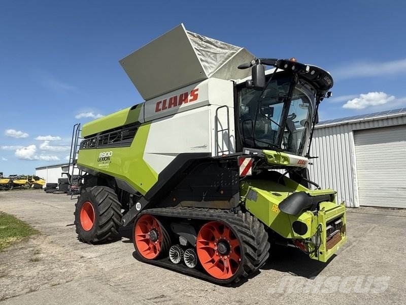 Koszenie kukurydzy claas lexion 8900 gąsienice