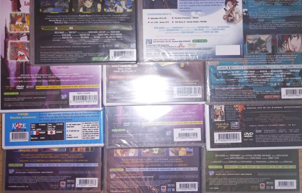 12x DVD anime manga FRANCUSKIE FOLIA, She-Ra, He-man i inne, lata 2000