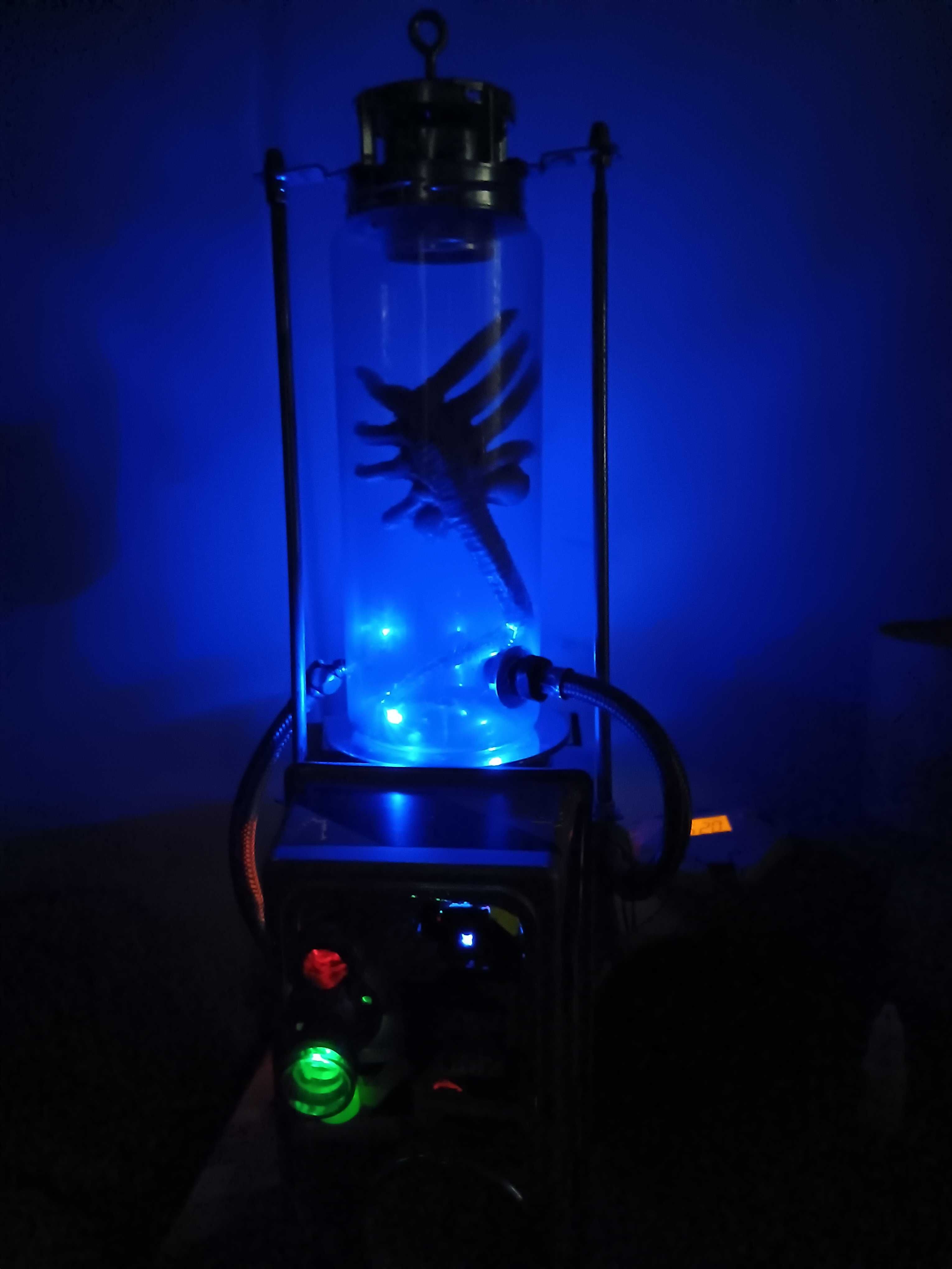 Alien Facehugger num invólucro de preservação