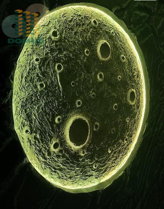 Продам 1к квартиру в ЖК Золотые Столбы! Свежий ремонт! Боровского!