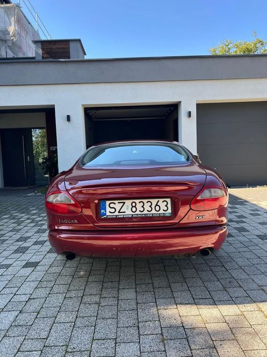 Jaguar XK Jaguar XKR 4,2 (396KM) - wyjątkowa wersja w jednych rękach od 20lat