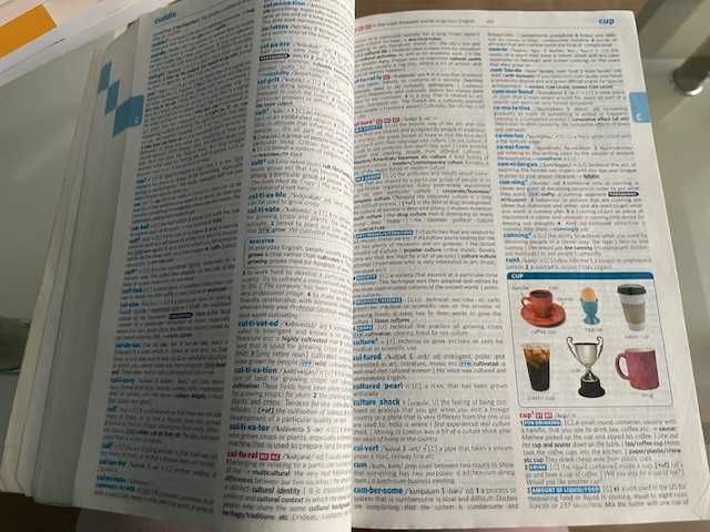 Longman dictionary of contemporary English for advanced learners