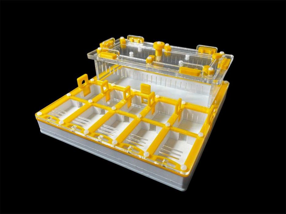 Черная муравьиная ферма для муравьев профессиональный дом для колонии.