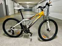 Bicicleta BTT Coluer Randy 240 24" 9-14 Anos