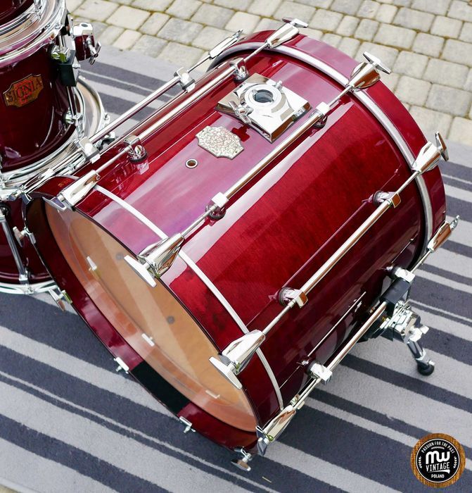 Perkusja Premier Signia Maple 20", 10", 12", 14" Cherry ‼️