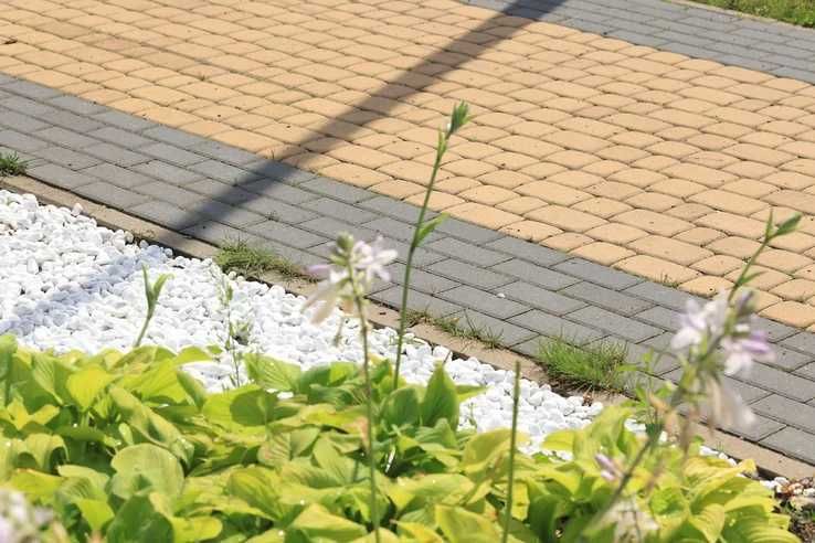 Kostka brukowa Polbruk przemysłowa tetka prostokąt gr 6 cm