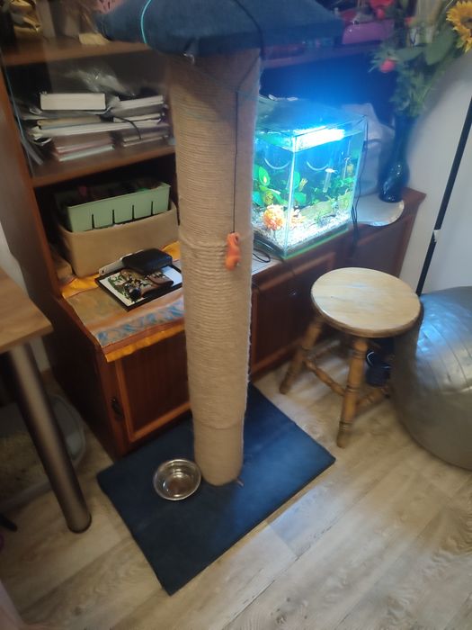 Duży drapak dla kota