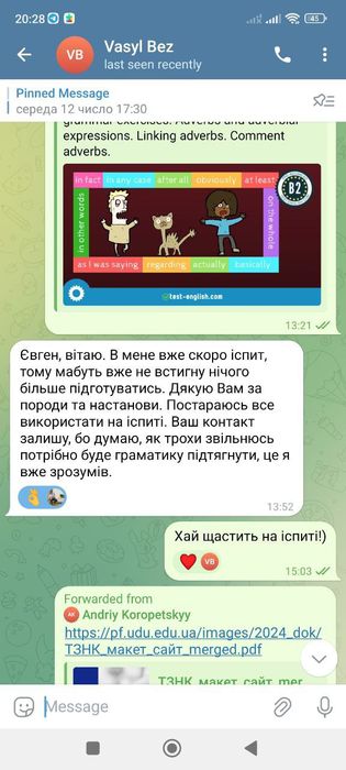 Репетитор з англійської, ЄВІ/ НМТ