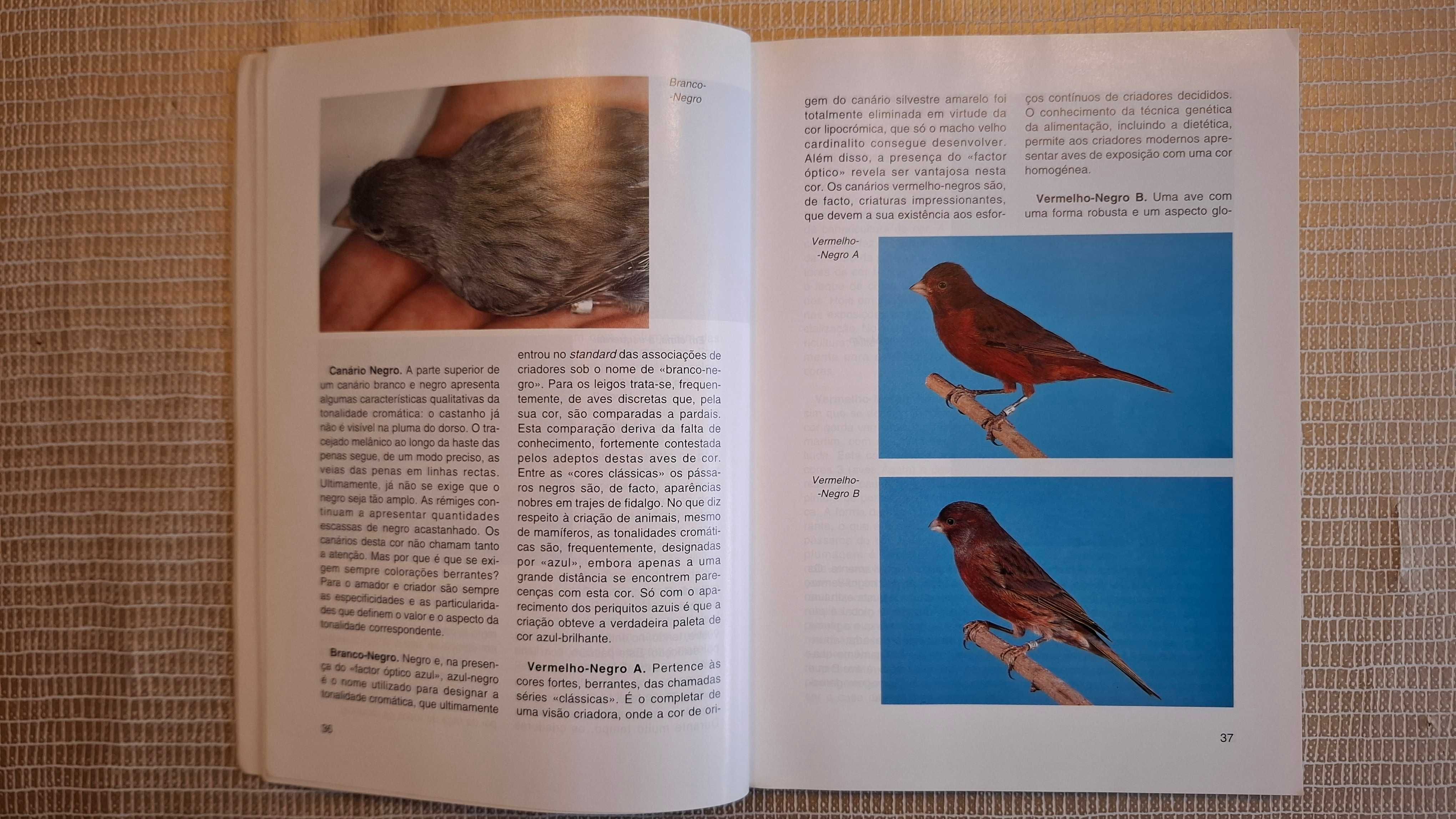 Raças de canários