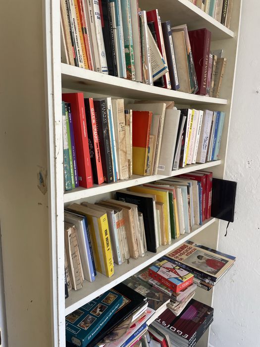 Estante junto com livros ( 210x30 cm)