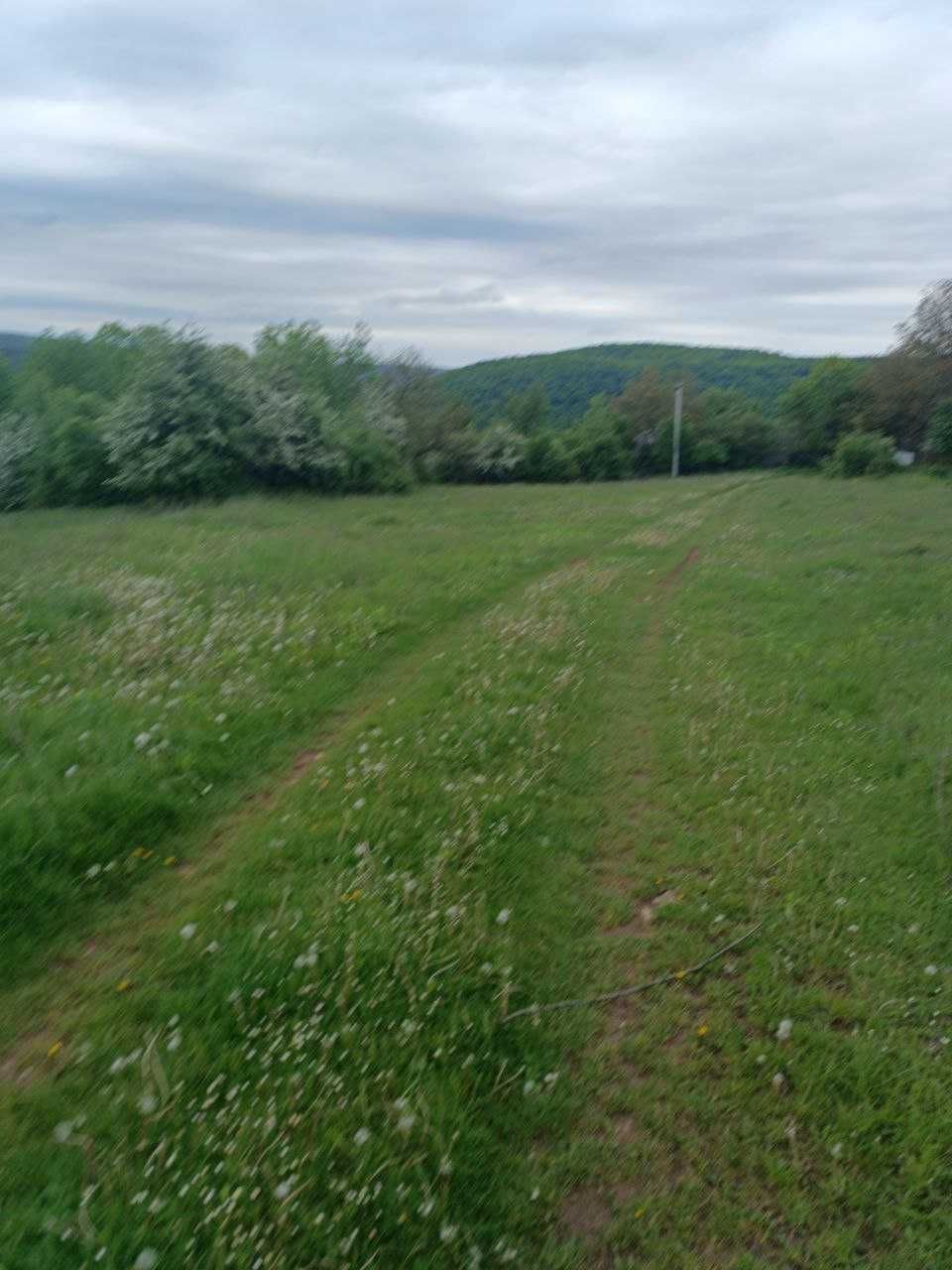 Земельна ділянка