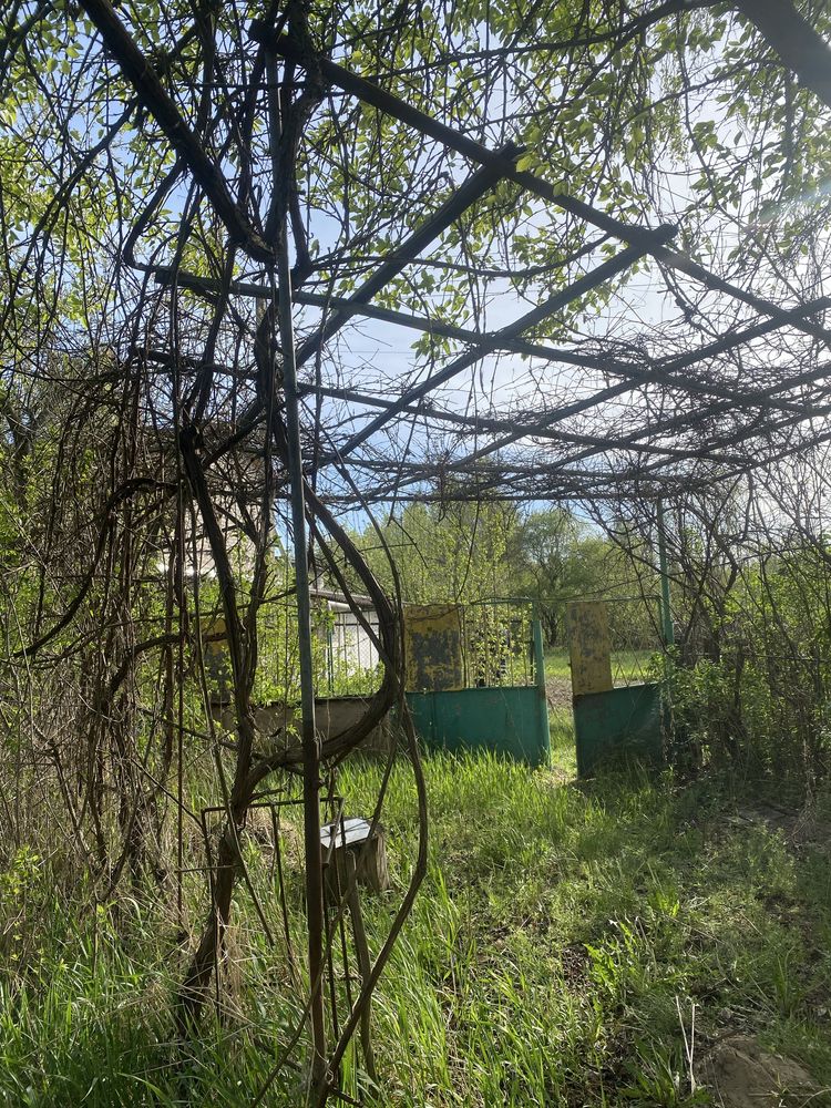 Продам дачу в Бобровському масиві 1