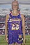 Los Angeles Lakers #23 LeBron James Nike DriFit swingman size: M-44