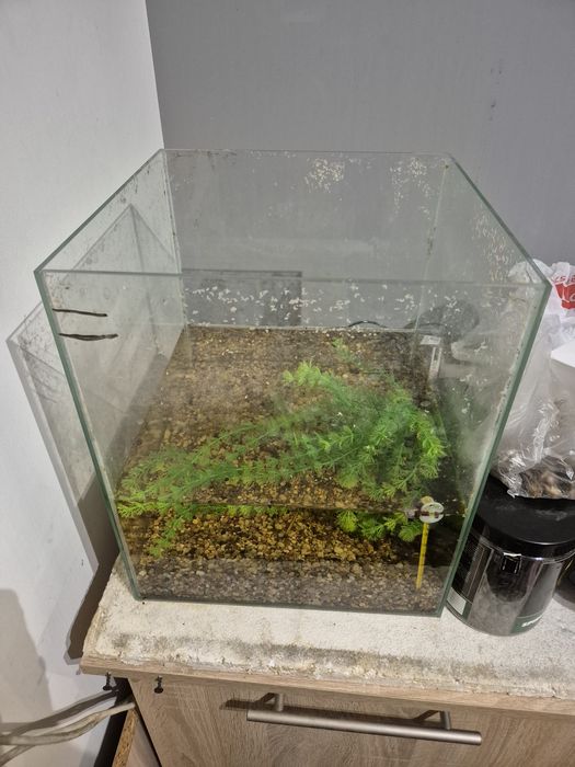 Akwarium 30 litrow kostka