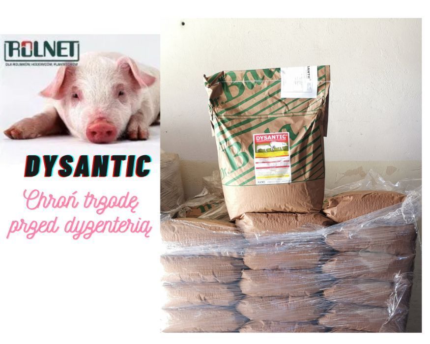 Dysantic przeciw biegunkom, dyzenterii, wspiera przyrost wagi, 10 kg