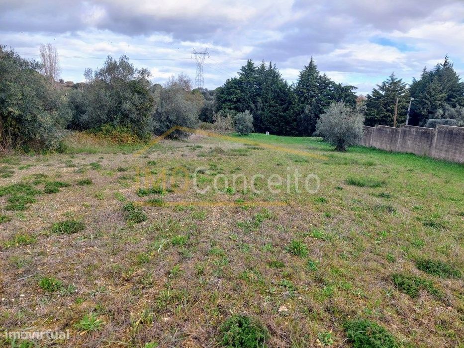 Terreno Rústico na Barroca