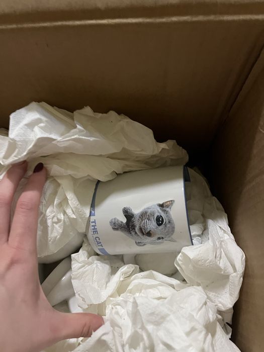 Talerze, kubki - oddam za darmo