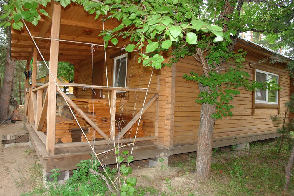 Супер відпочинок!!! Здаю новий зруб  в лісі на річці Десна в Піірнове