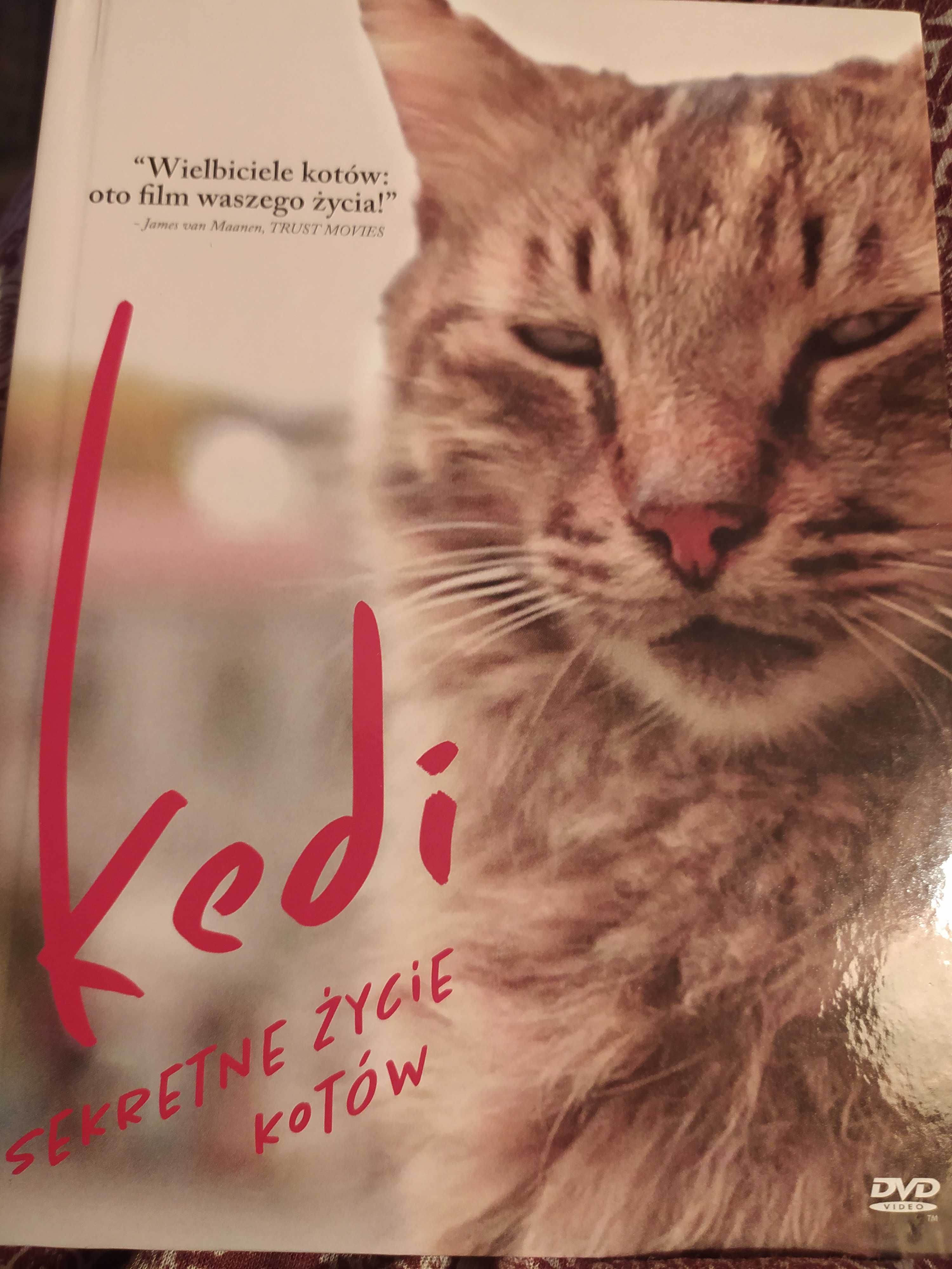 Kedi. Sekretne życie kotów (wydanie książkowe) DVD