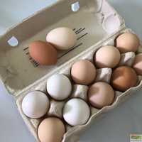 Kurze swojskie jaja