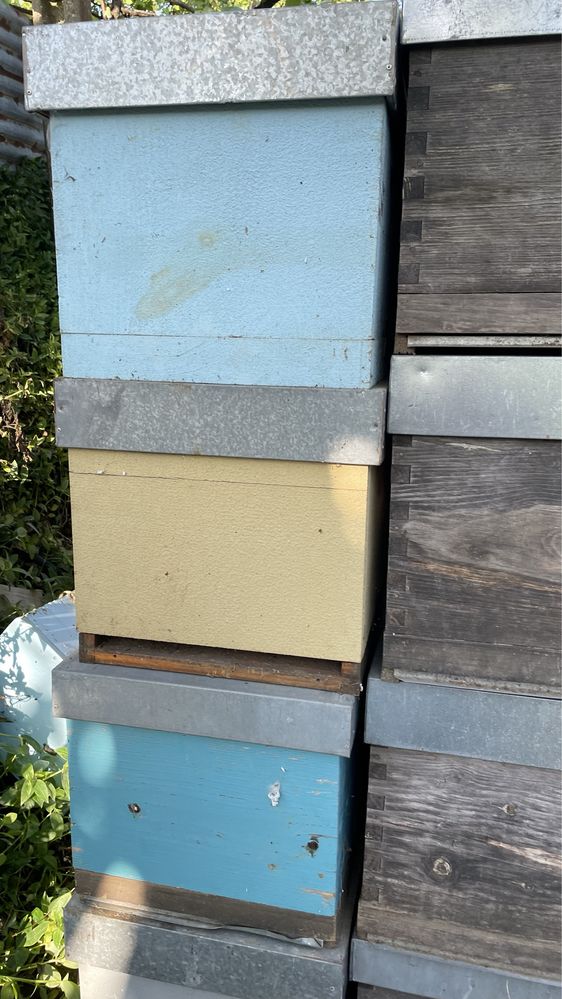 Material apicola