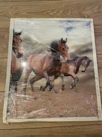 Obraz na szkle konie zdjęcie 60x50