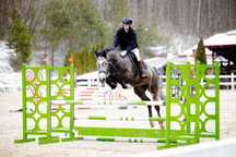Holsztyńska Klacz Hickstead White x Quantum / hodowla