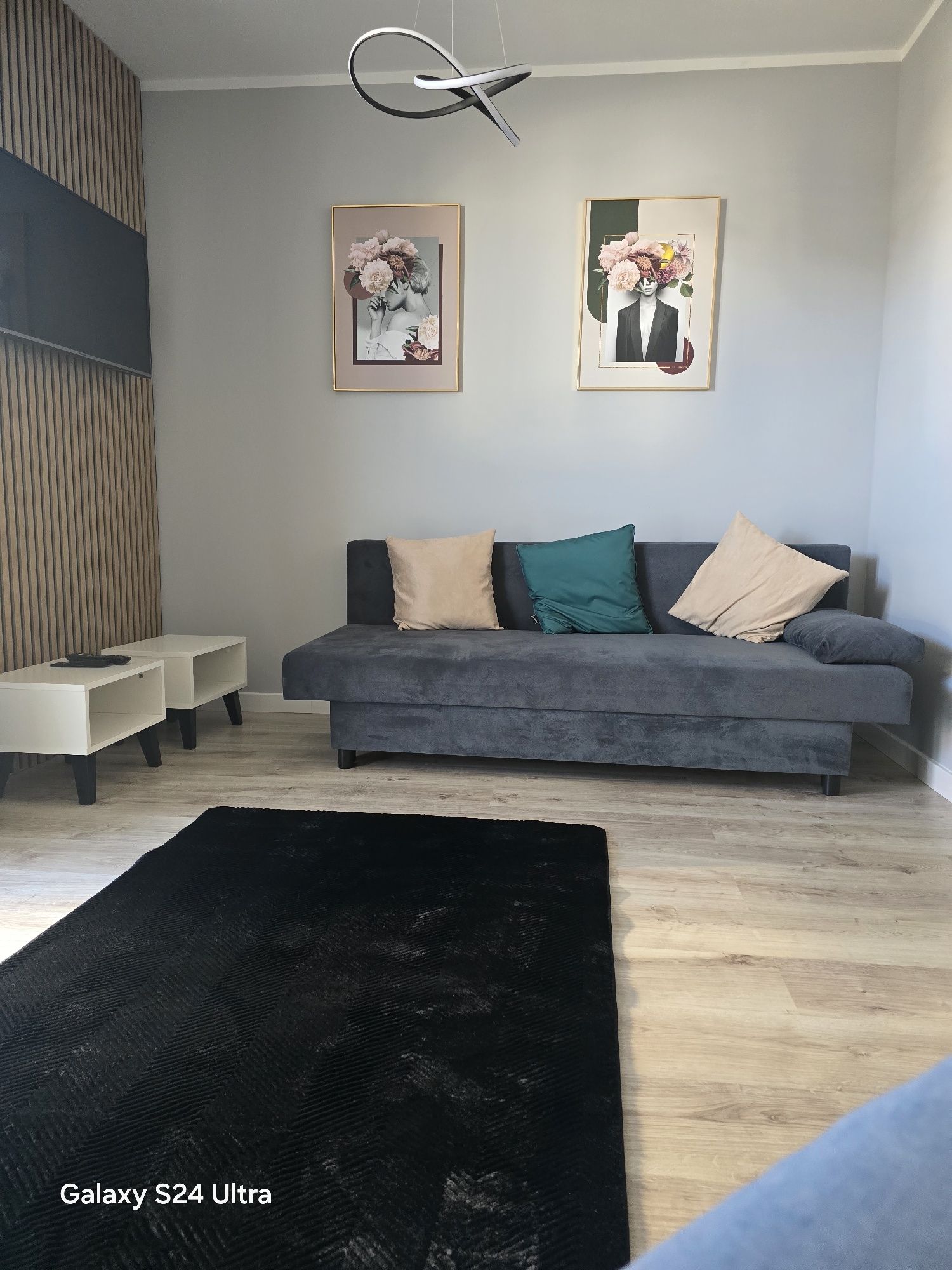 Apartament noclegi