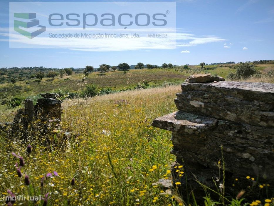 Terreno com poço - Lentiscais