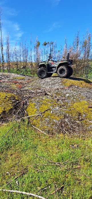 Vendo xwolf 300 FO T3B