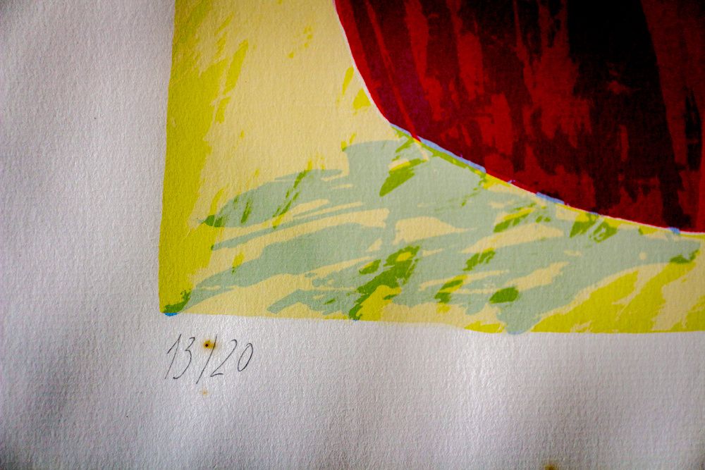 Victor Pires - Serigrafia