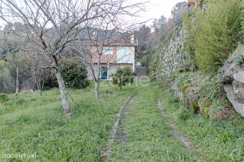Quinta com duas casas independentes Cinfães do Douro, Viseu, Portugal